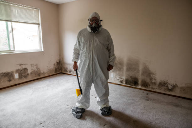 Best Biohazard Mold Removal  in Leonville, LA